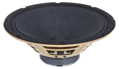 Anthem 10" 8 Ohms Speaker