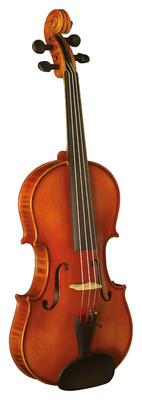 Vivente Academy Violin Set 4/4