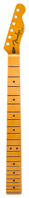 Fender Player Plus Tele Neck MN