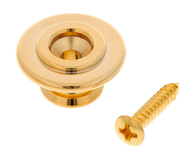 Gotoh RB30 String retainer G