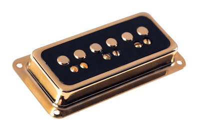 Dynasonic Gold Black Neck