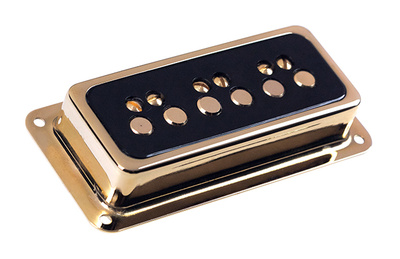 Dynasonic Gold Black Bridge