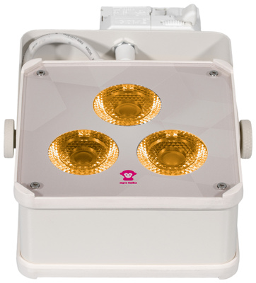 Track Maxi V2 45° RGBWW Creme