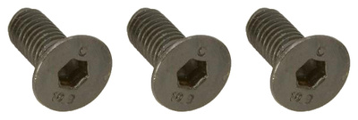 FRTBMSP Mounting Screws