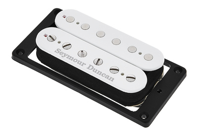 Alex Skolnick Bridge White