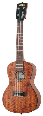 KA-CM-C Curly Mango Concert
