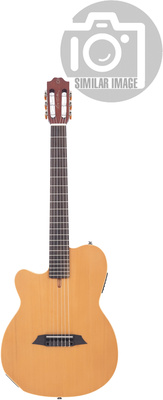 Larry Carlton G5N Natural LH