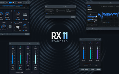 iZotope RX 11 Standard Download