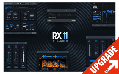 iZotope RX 11 Adv UPG RX 1-10 Std Download