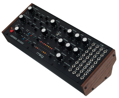 Moog Labyrinth