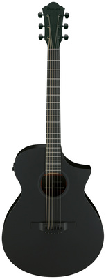 Ibanez AEWC621-BOT