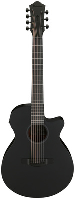 Ibanez AEG721-BOT