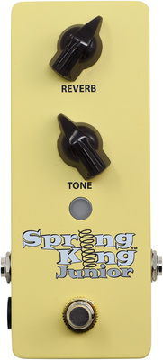 Danelectro SKJ-1 Spring King Junior