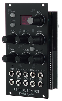 Erica Synths Perkons Voice