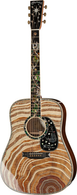 Martin Guitar D-300