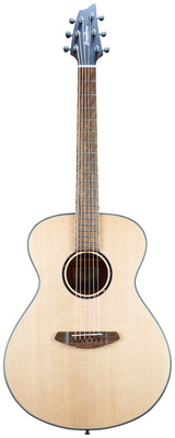 Breedlove Discovery S Concert
