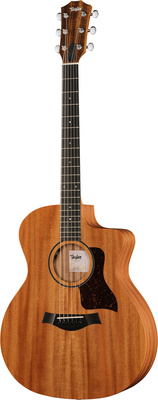 Taylor 24ce