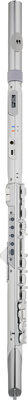 Roland Aerophone AE-Brisa