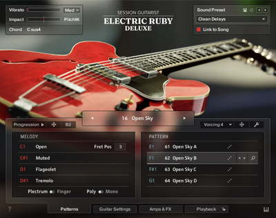 Native Instruments SG Electric Ruby Deluxe Download