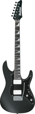 Ibanez BER10 Bernth Signature BK
