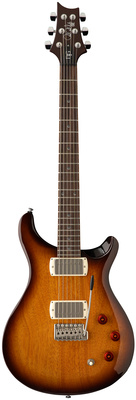 PRS SE DGT Standard Moons MTS