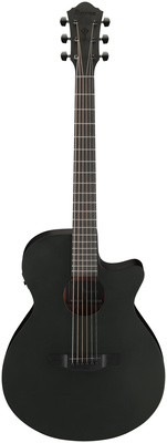 Ibanez AEG621-BOT