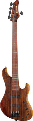 Ibanez IV2MDM Visions Mode
