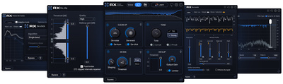iZotope RX 12 Elements Download