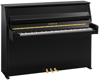 Yamaha B10 PE