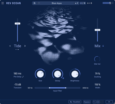 Arturia Rev Ocean Download