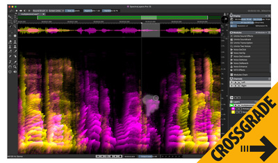 Steinberg SpectraLayers Pro 13 Comp. CG Download