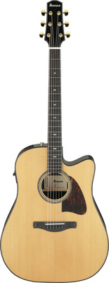 Ibanez AAD381CE-NT