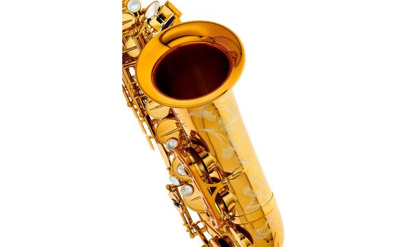 review of selmer reference 54 alto