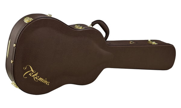 dean z guitar case