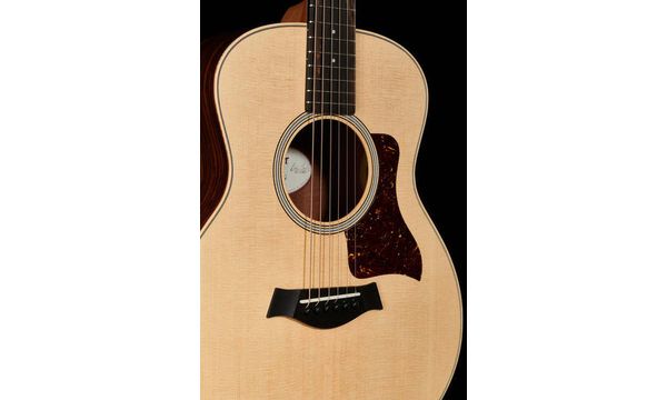 taylor gs mini thomann