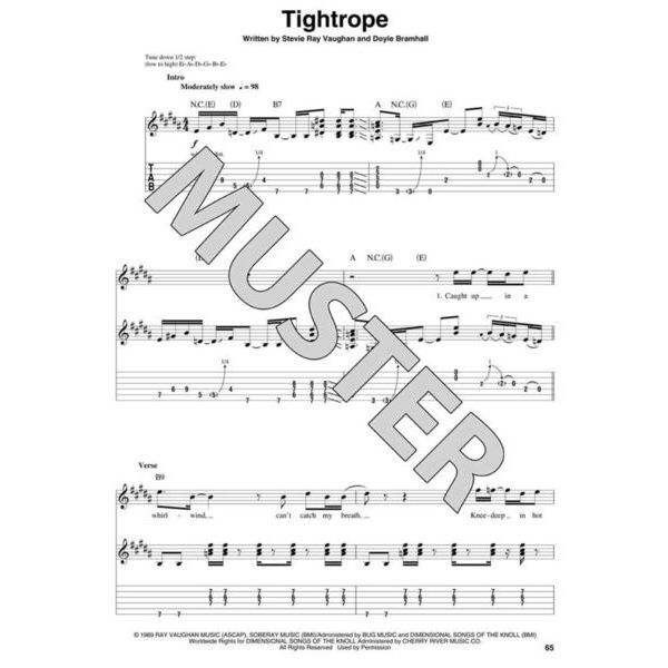 Hal Leonard Guitar Play-Along Ray Vaughan