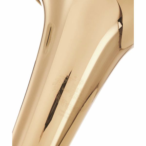 B&S 3032/2-L Tenor Horn