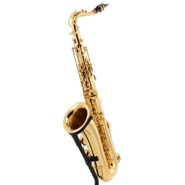 Bariton Saxophon tiefe Es-stimmung Messing lackiert Mundstück Koffer Gurt Gravur 