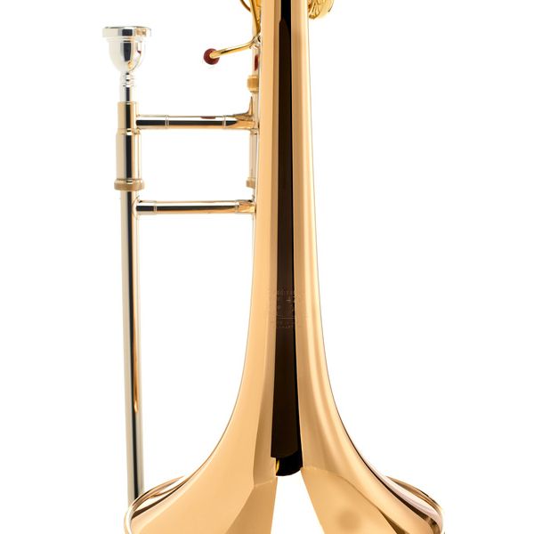 Bach LT 42AG Bb/F-Tenor Trombone RH