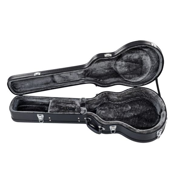 epiphone wildkat guitar case