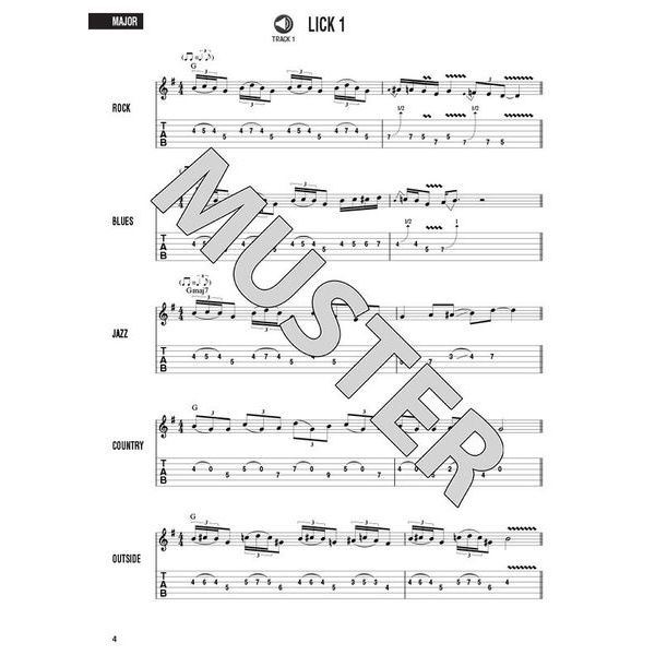 hal leonard lead licks