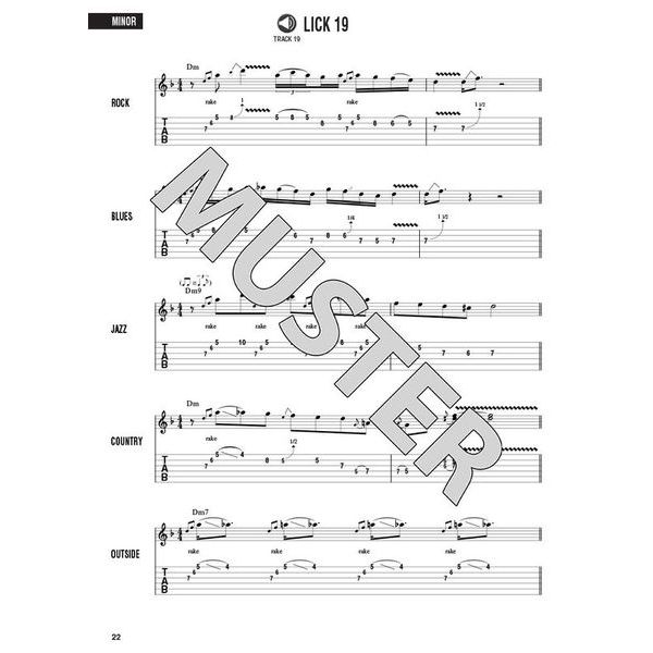 hal leonard lead licks