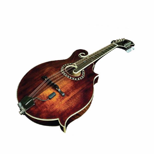 L.R.Baggs Radius-M Mandoline Pickup