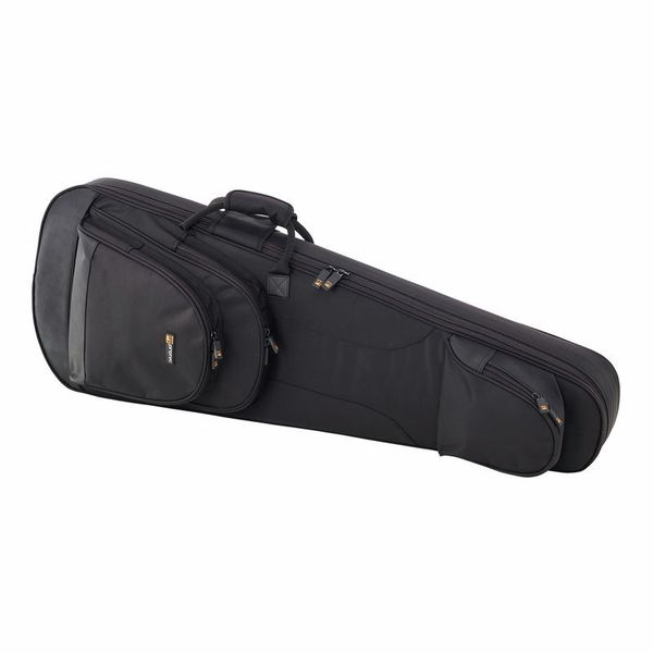 protec guitar case