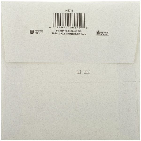 Daddario NS715 Electric Bass/Cello C Thomann Danmark