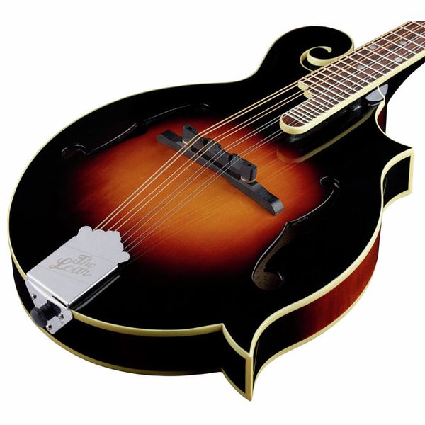 loar electric mandolin