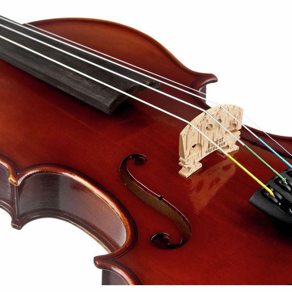 Roth & Junius RJV-S Student Violin Set 1/2