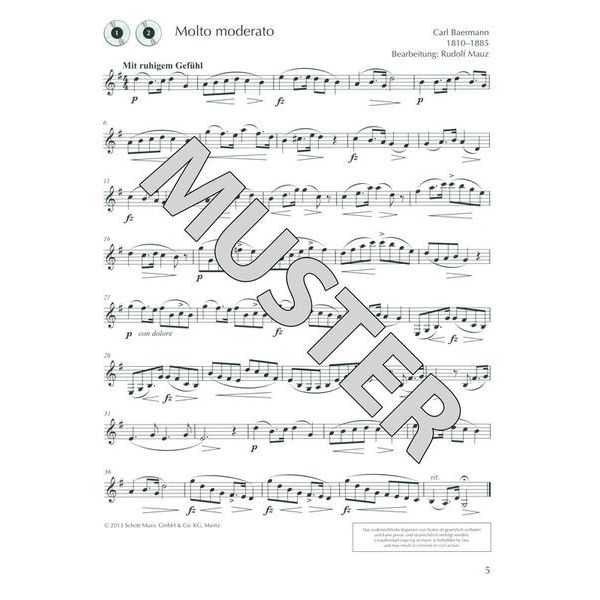 Schott Klarinette Hobby Konzertband