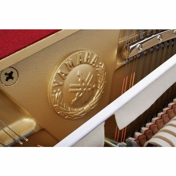 Yamaha b1 PEC