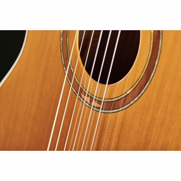 classical guitar half steel half nylon